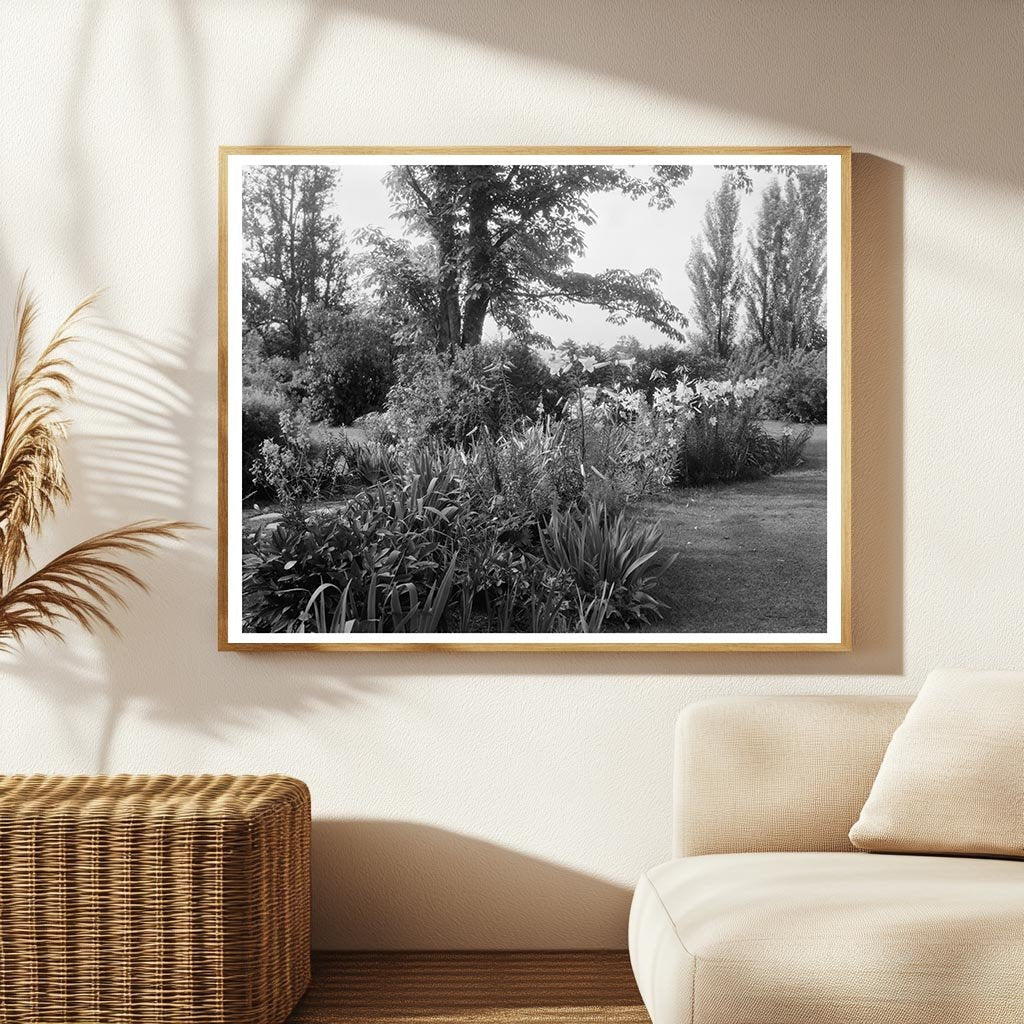 Lynchburg Garden Scene, Virginia, Early 20th Century