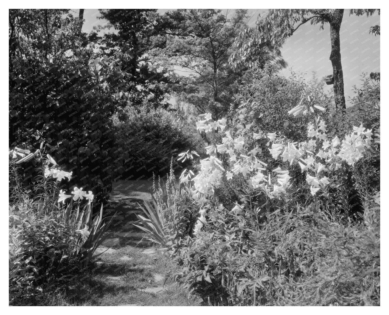 Lynchburg VA Gardens, 20th Century Architecture Photo