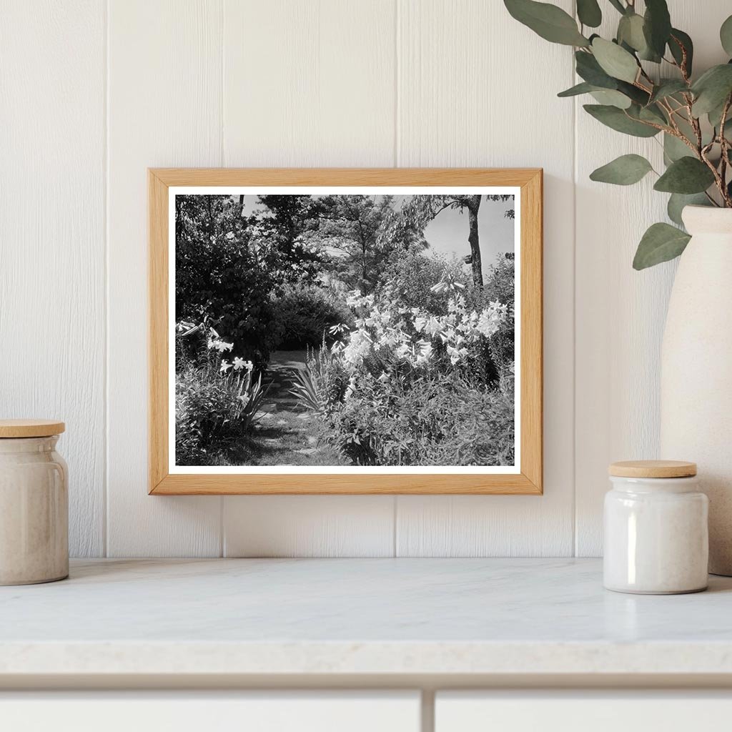 Lynchburg VA Gardens, 20th Century Architecture Photo