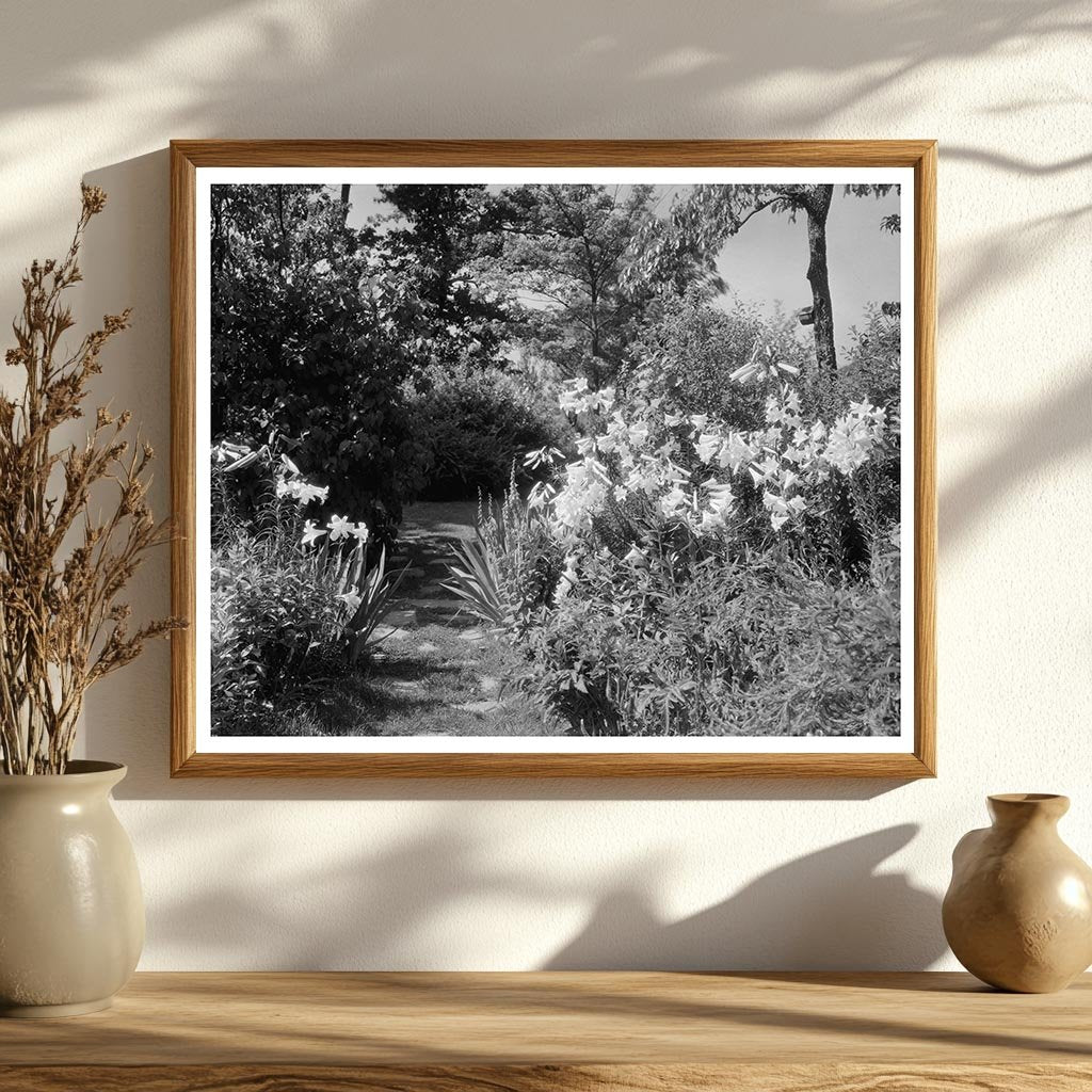 Lynchburg VA Gardens, 20th Century Architecture Photo