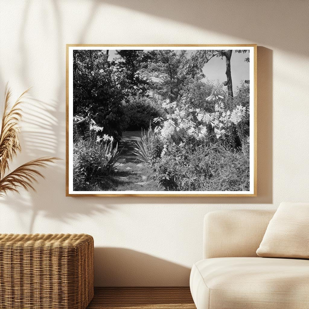 Lynchburg VA Gardens, 20th Century Architecture Photo