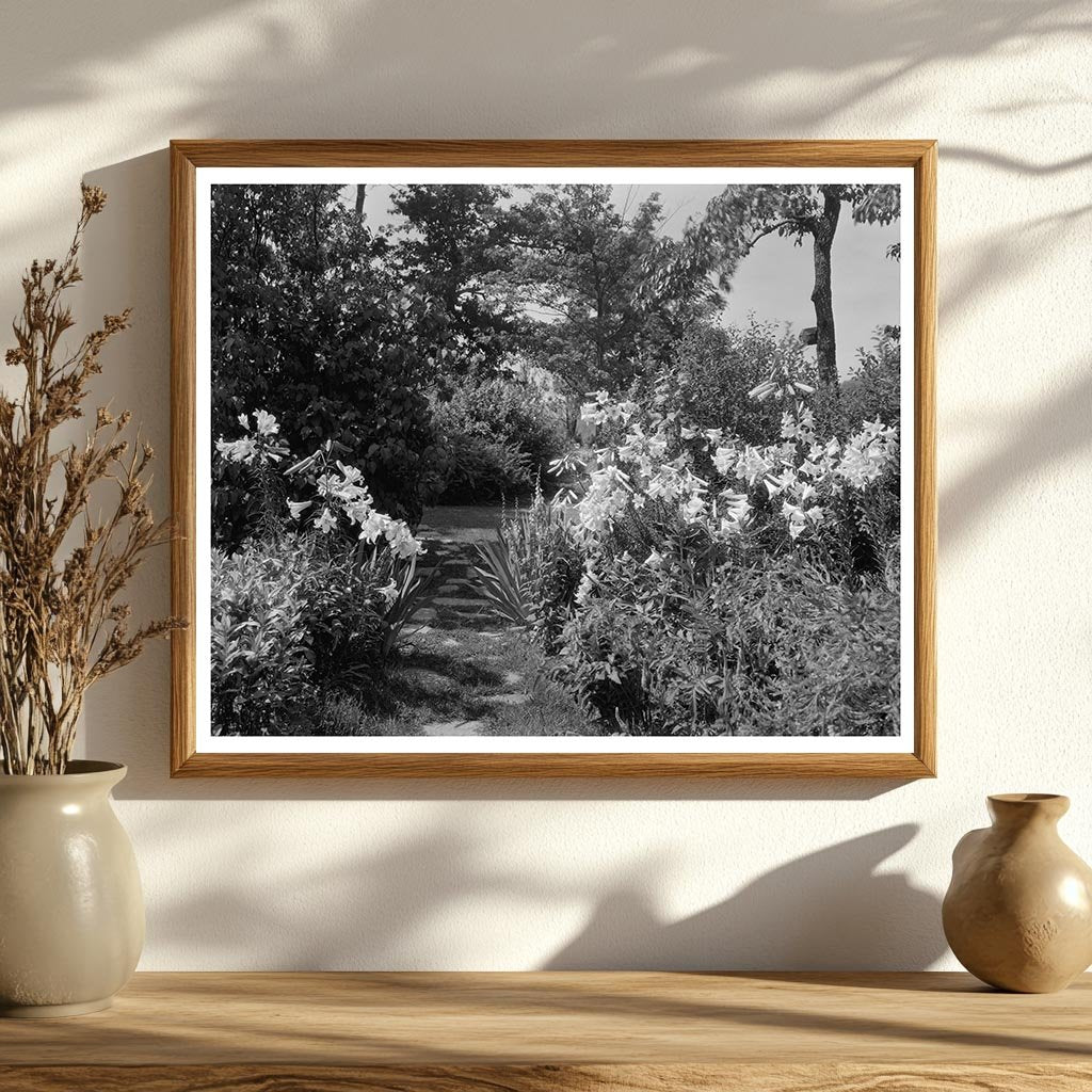 Early 1900s Gardens in Lynchburg, Virginia, Photo Archive