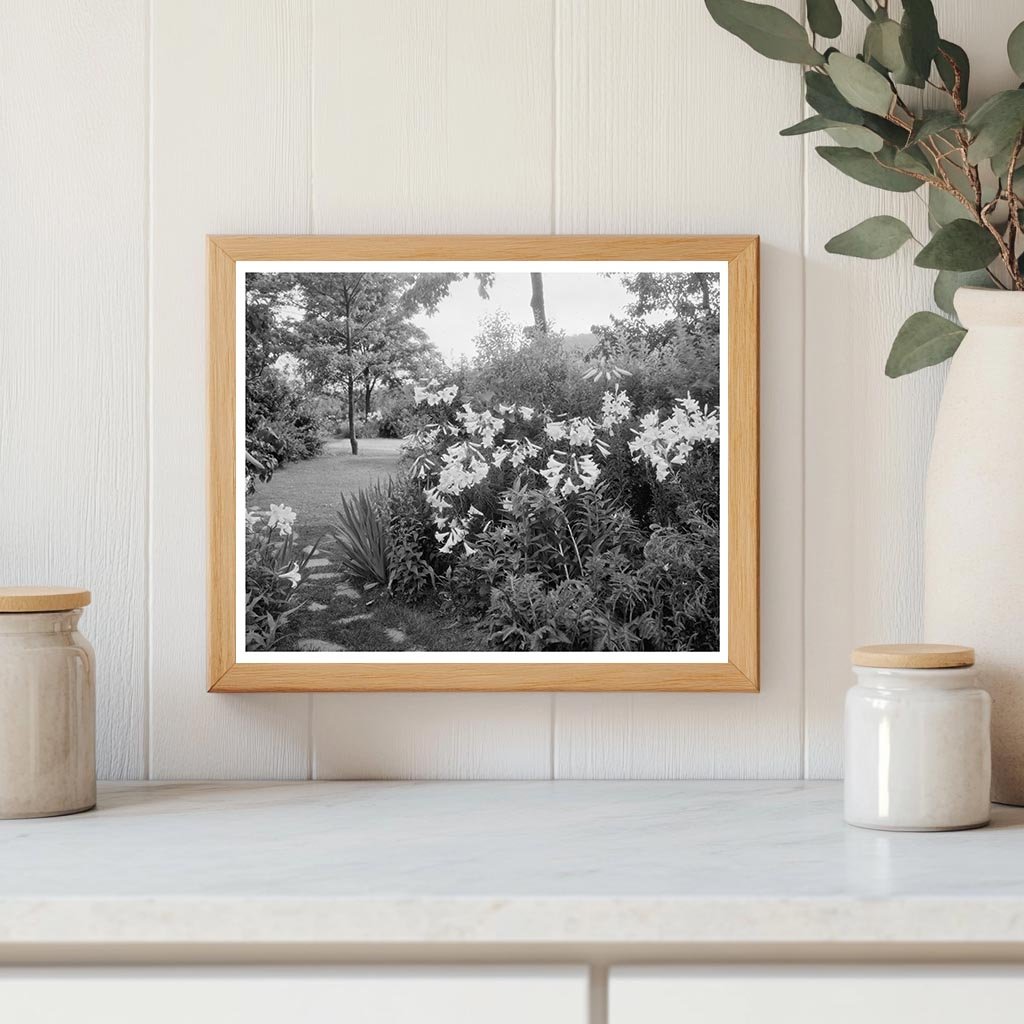 Historic Lynchburg Gardens, Virginia 1900s Photograph