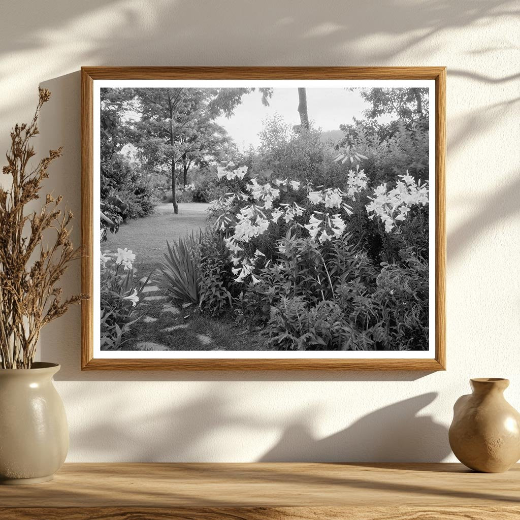 Historic Lynchburg Gardens, Virginia 1900s Photograph