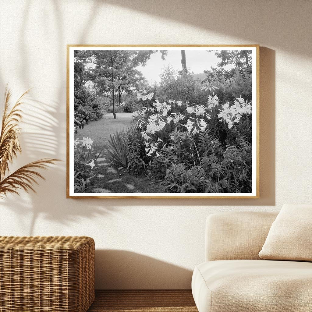 Historic Lynchburg Gardens, Virginia 1900s Photograph