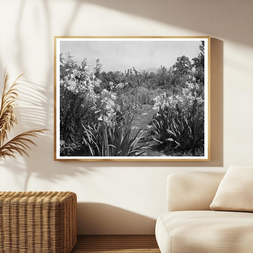 Lynchburg Virginia Gardens Photo, Early 20th Century