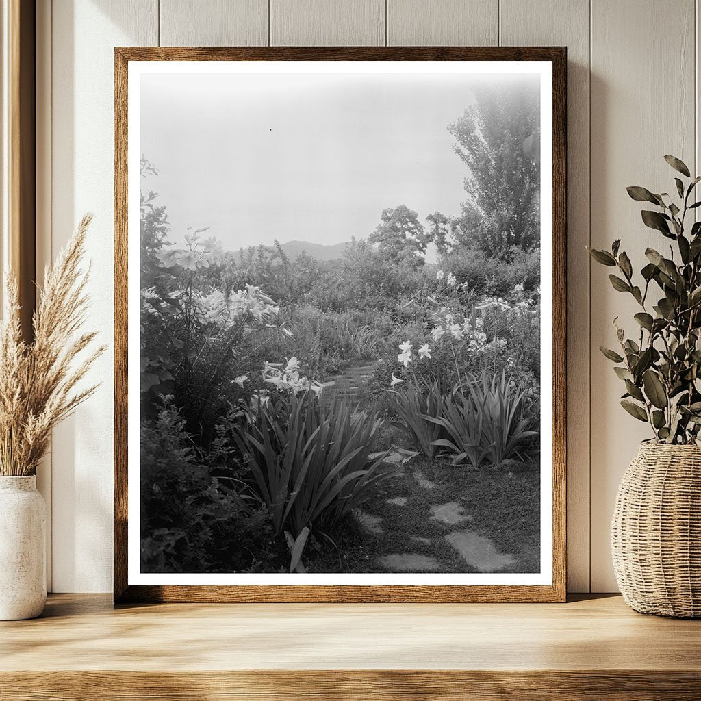 Vintage Garden Scene in Lynchburg, VA 1900s