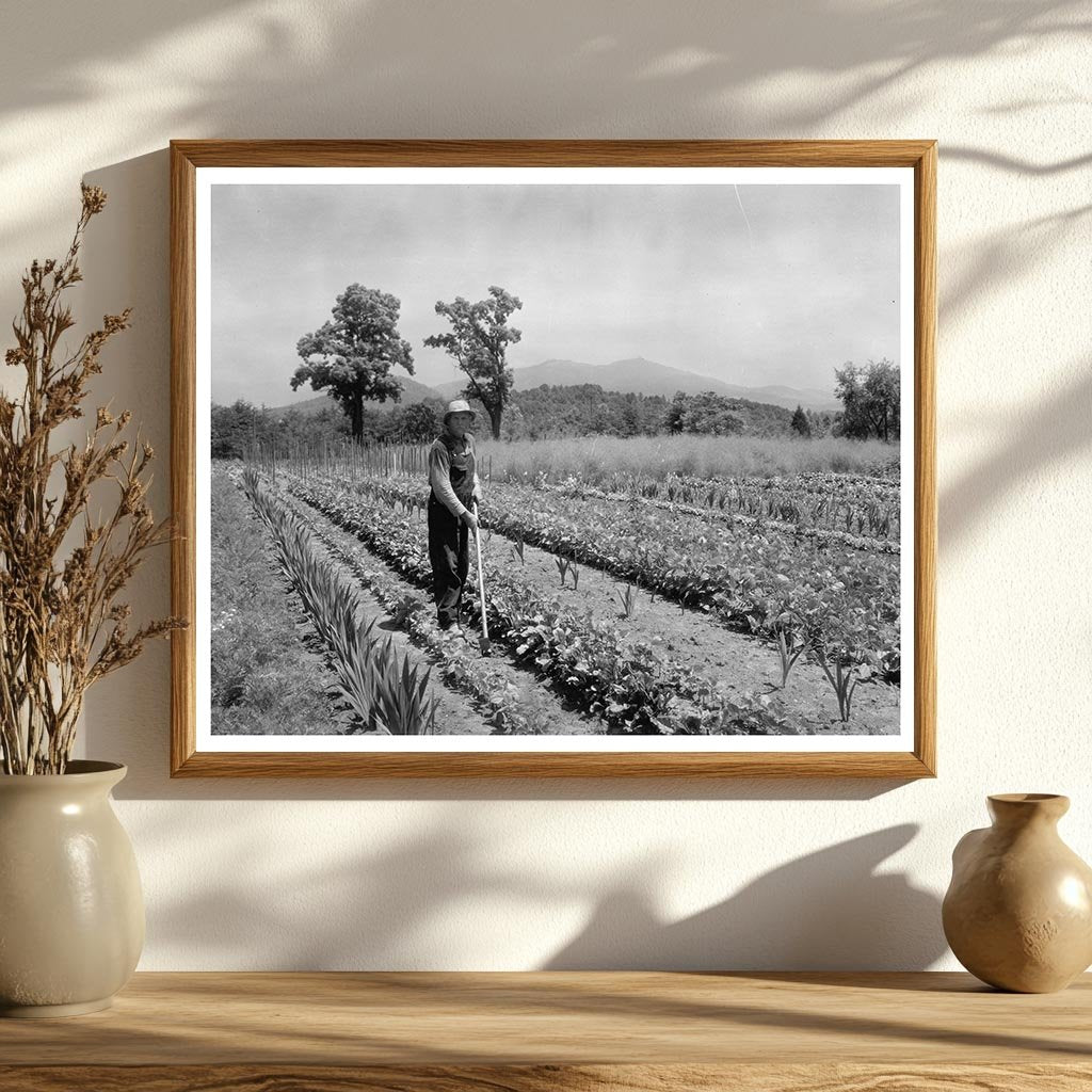 1900s Farming Scene in Lynchburg, Virginia