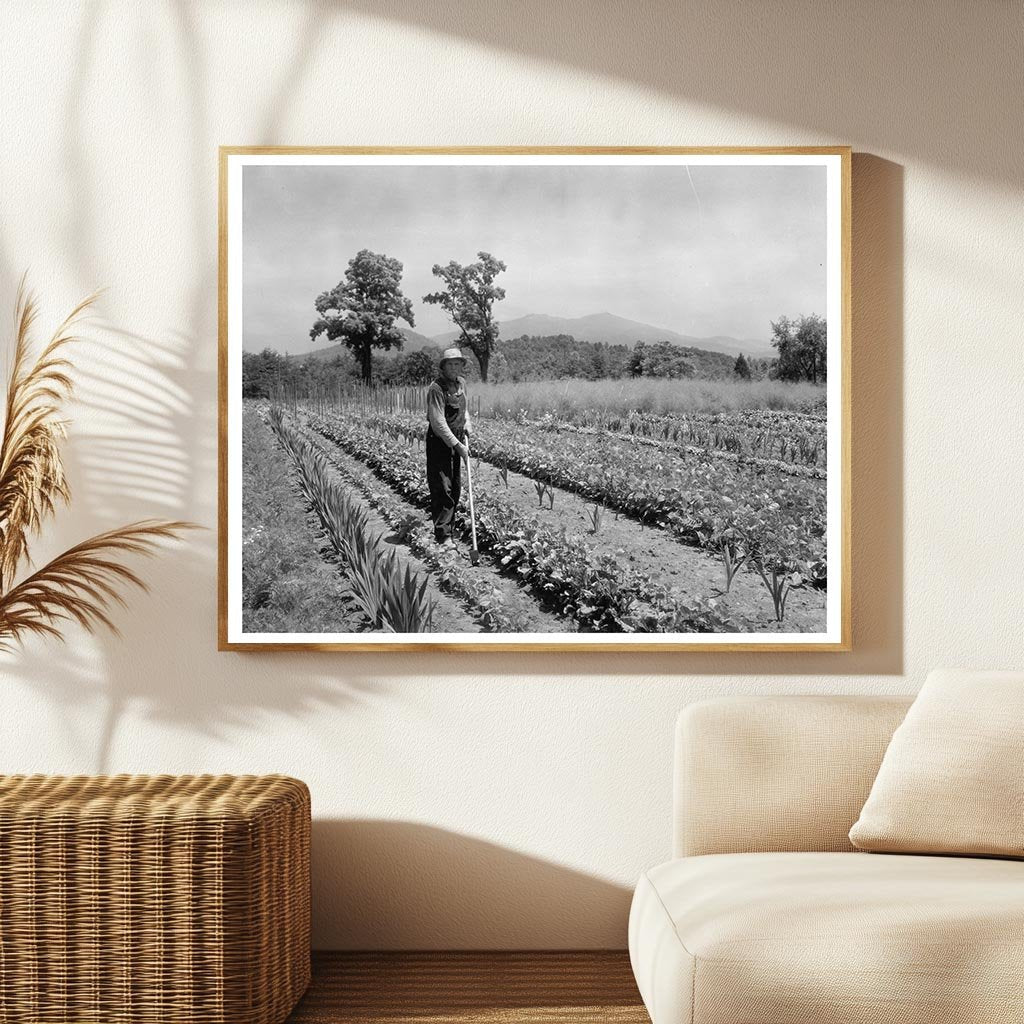 1900s Farming Scene in Lynchburg, Virginia