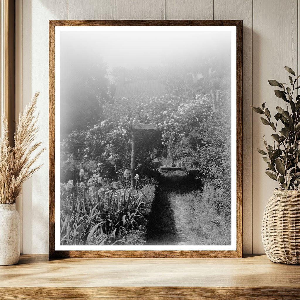 Shirley Plantation, Charles City, VA - Historic Image 1953