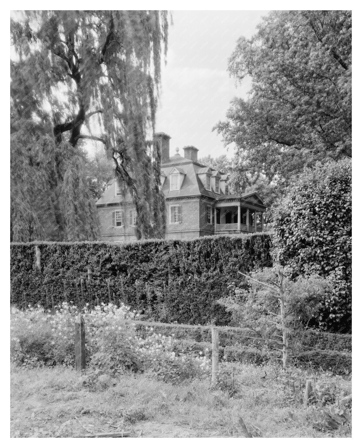 Shirley Estate Gardens, Charles City, VA 1953 Photo