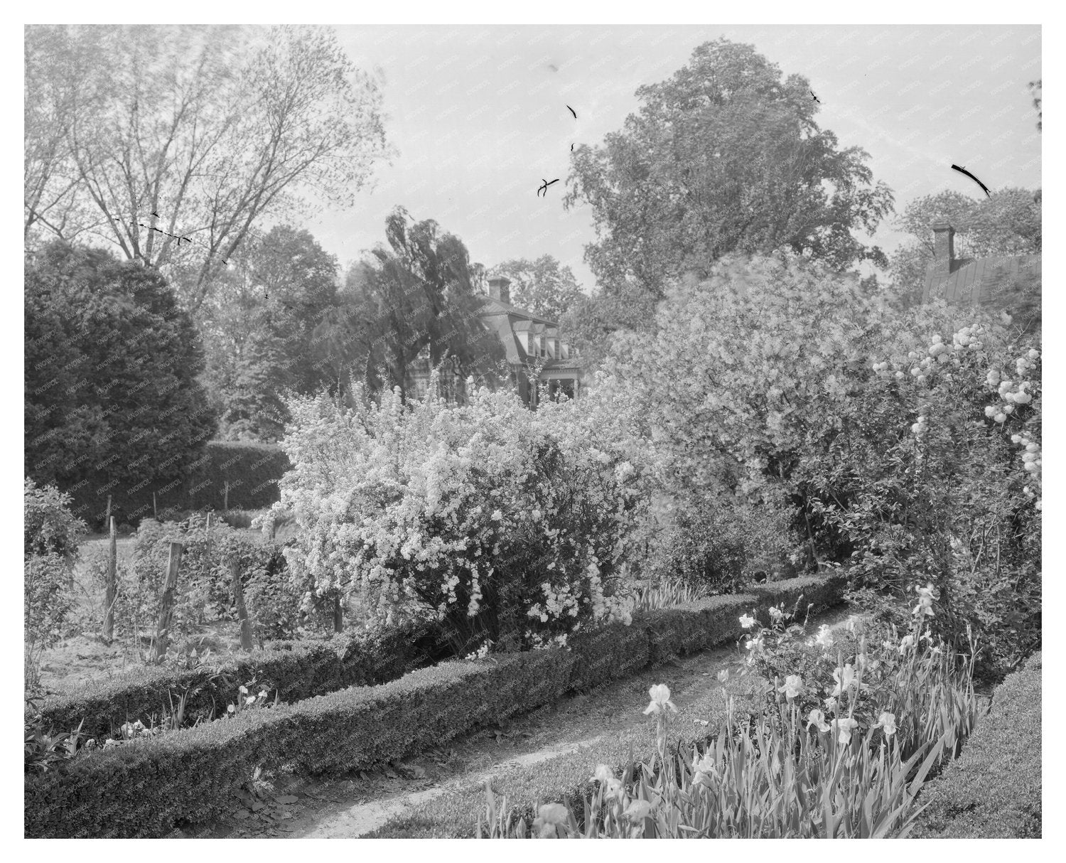 Shirley Plantation in Charles City, Virginia 1650