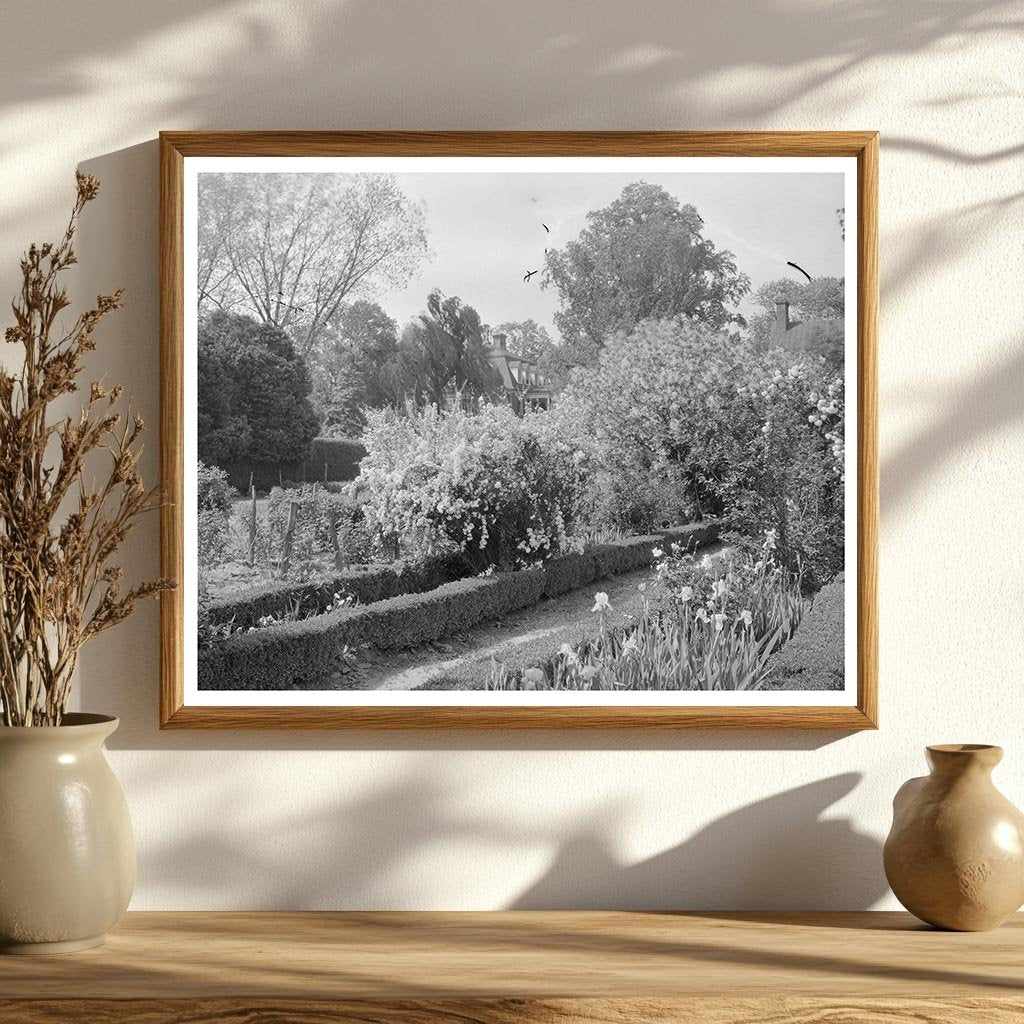 Shirley Plantation in Charles City, Virginia 1650