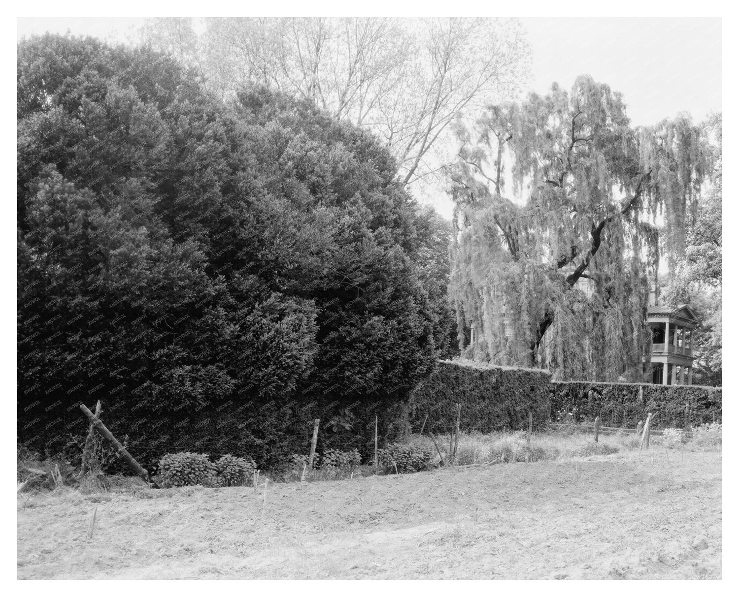 Shirley Plantation, Charles City, VA - Historic Photo 1650