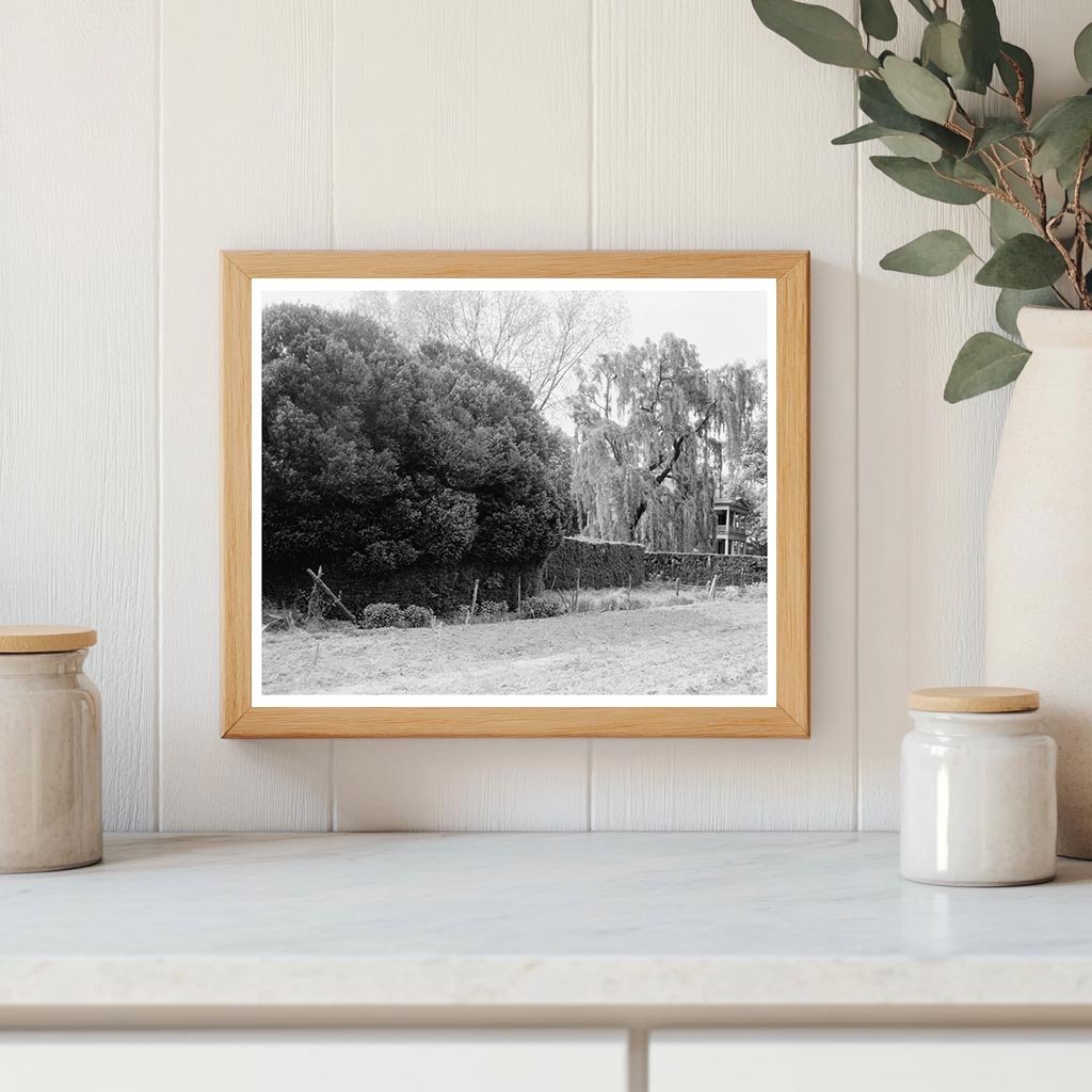 Shirley Plantation, Charles City, VA - Historic Photo 1650