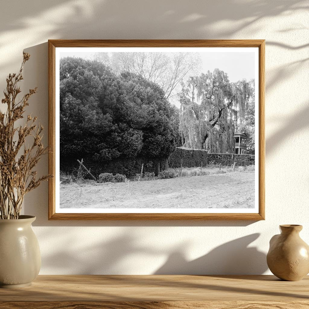 Shirley Plantation, Charles City, VA - Historic Photo 1650