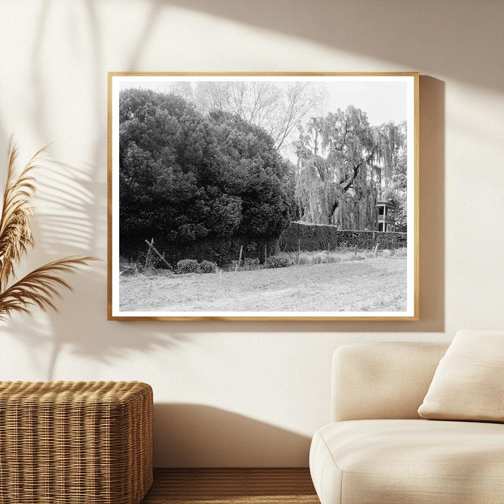 Shirley Plantation, Charles City, VA - Historic Photo 1650