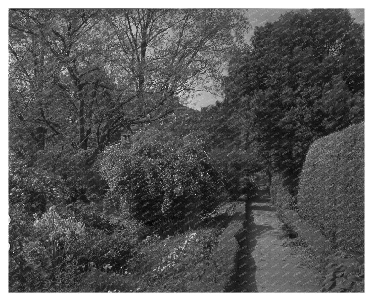 Shirley Estate, Virginia 1650: Historic Architecture