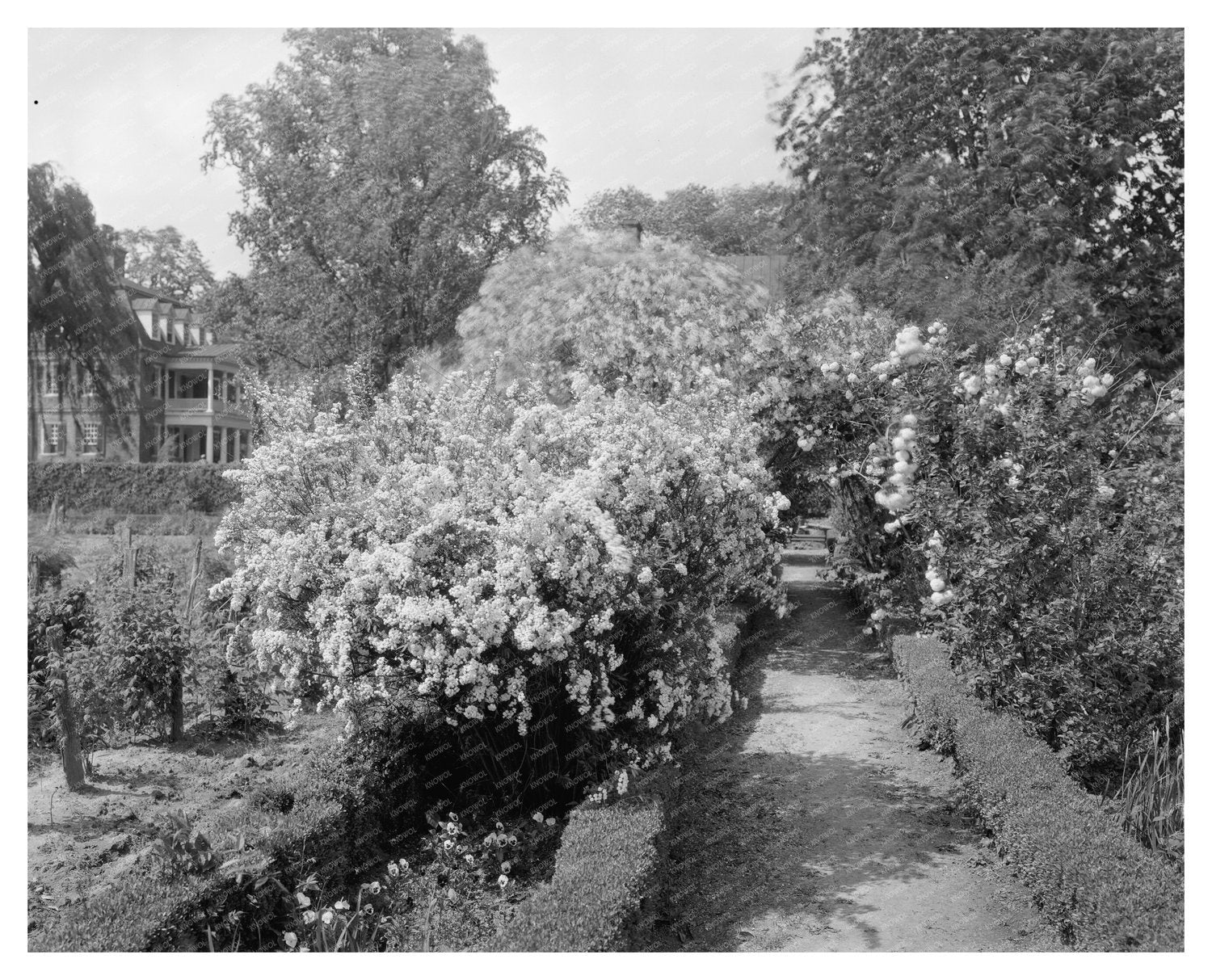 Shirley Plantation, Charles City, VA, 1953 Photography