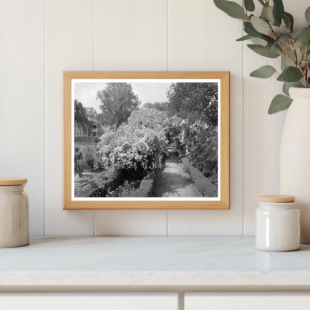 Shirley Plantation, Charles City, VA, 1953 Photography