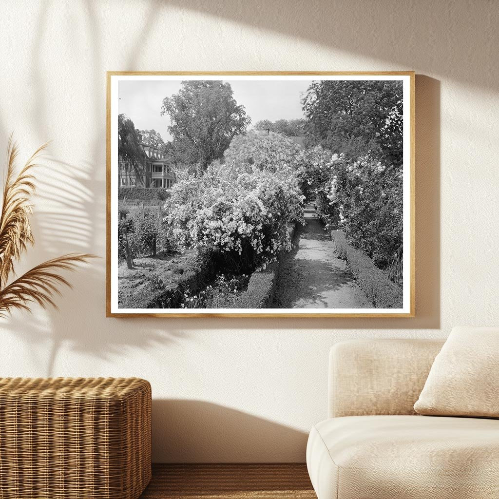 Shirley Plantation, Charles City, VA, 1953 Photography