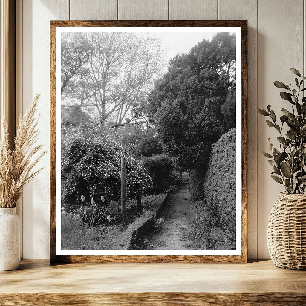 Shirley Plantation, Charles City VA, Historic Image 1650