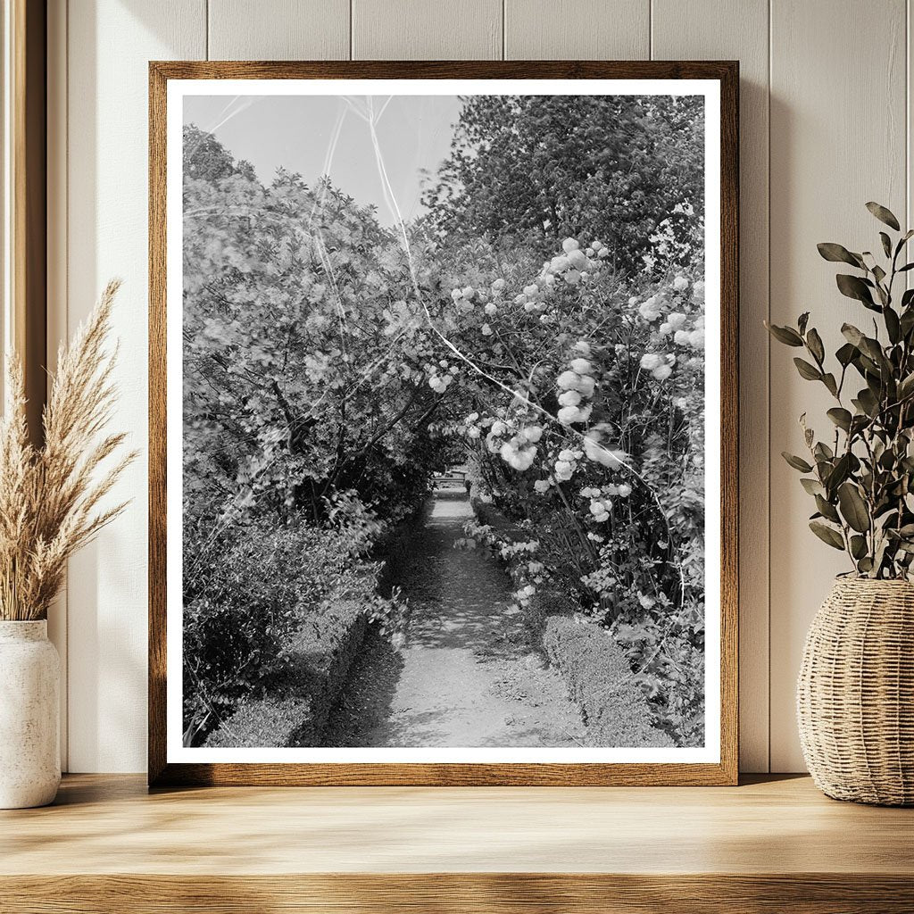 Shirley, VA Historic Estate Photo, 1650-2023