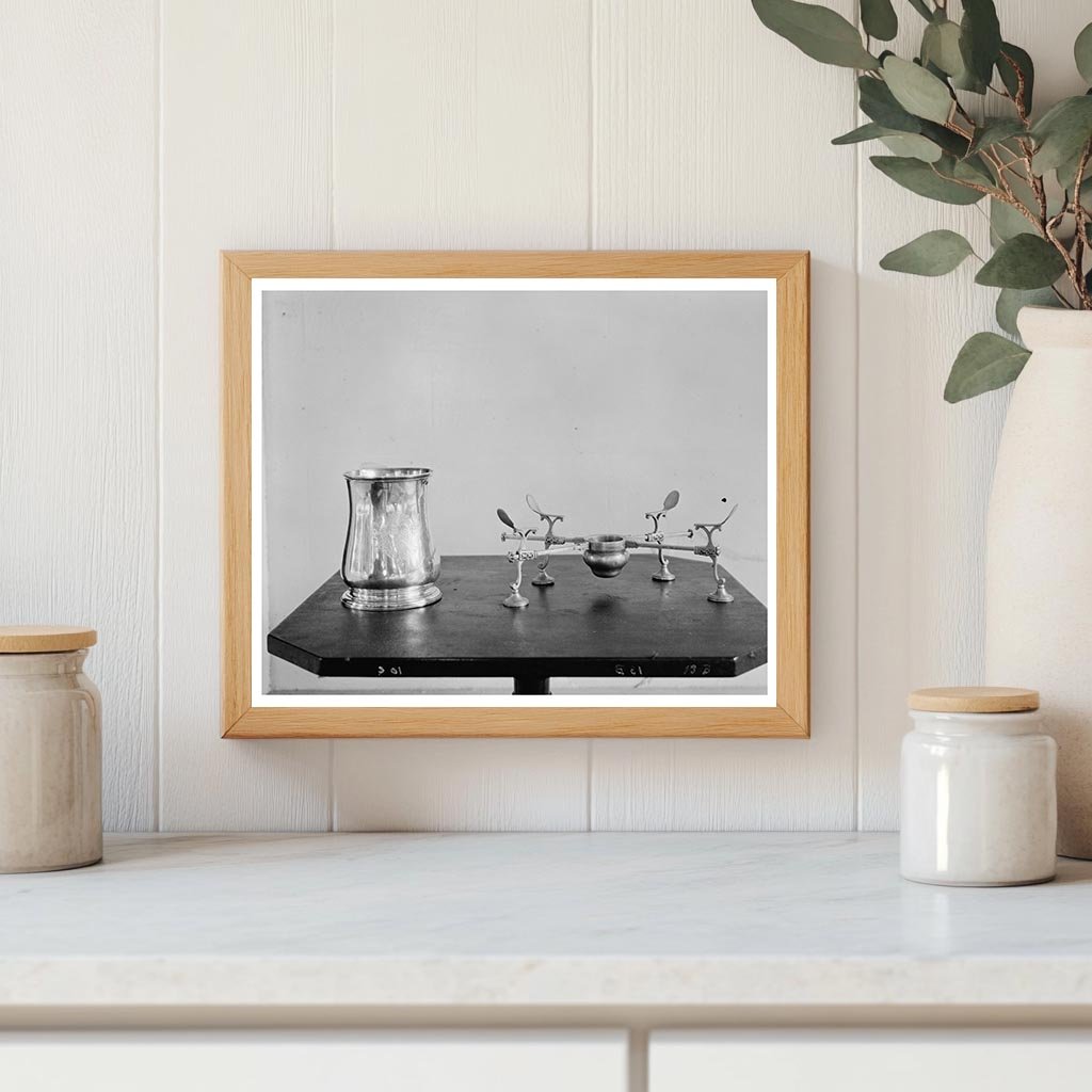 Shirley Estate, Charles City County, VA, 1953 Photograph