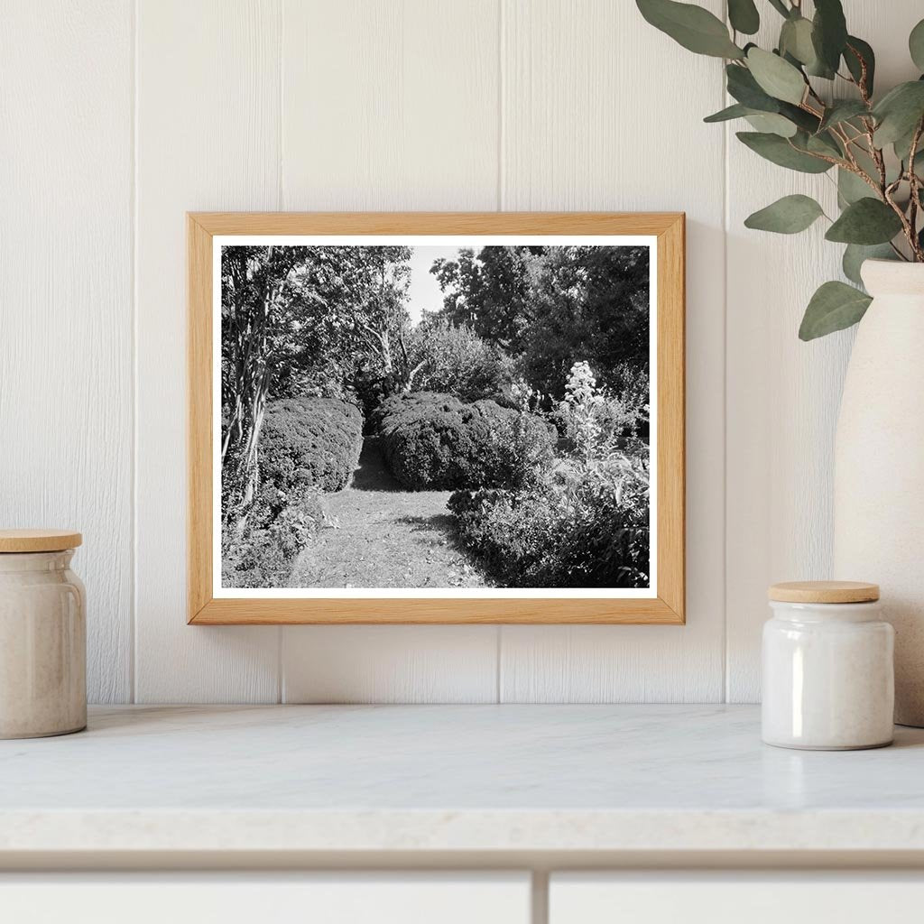 Vintage Estate Photo, Charles City, Virginia, 1730