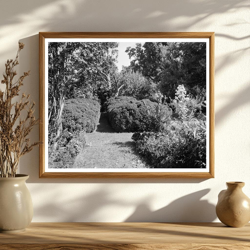 Vintage Estate Photo, Charles City, Virginia, 1730