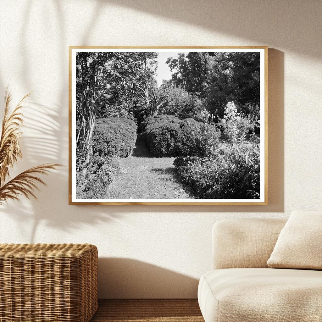 Vintage Estate Photo, Charles City, Virginia, 1730