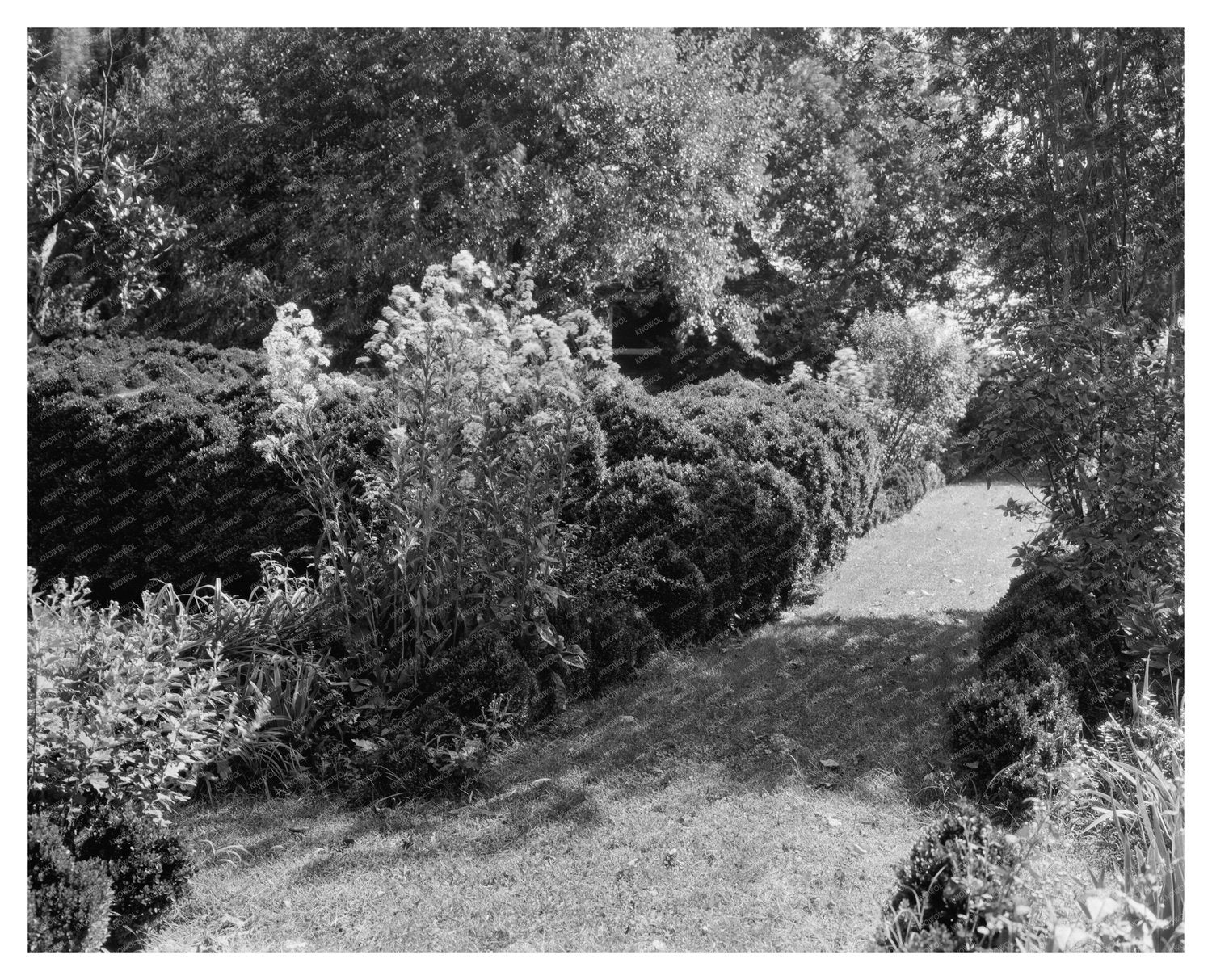 1730 Estate in Charles City County, Virginia History