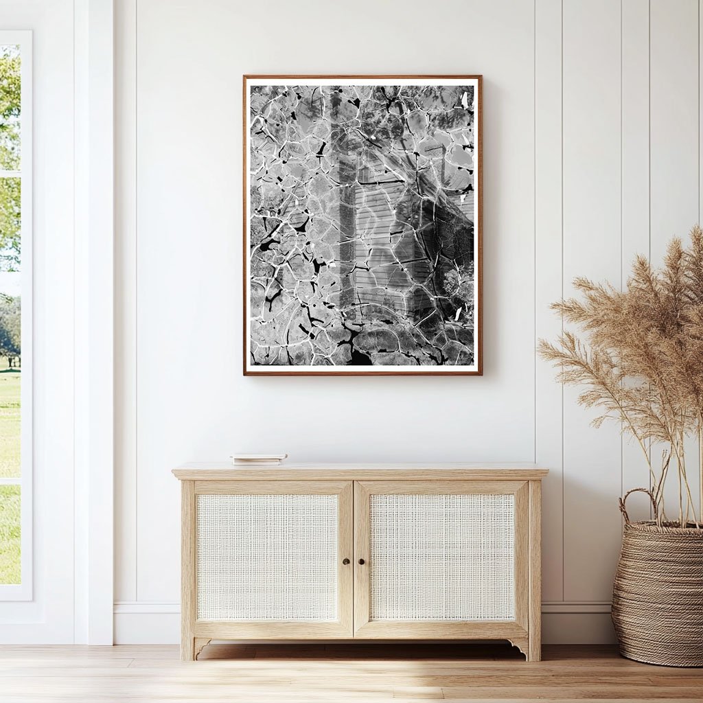 Blandfields, VA Architecture Photo, Mid-20th Century