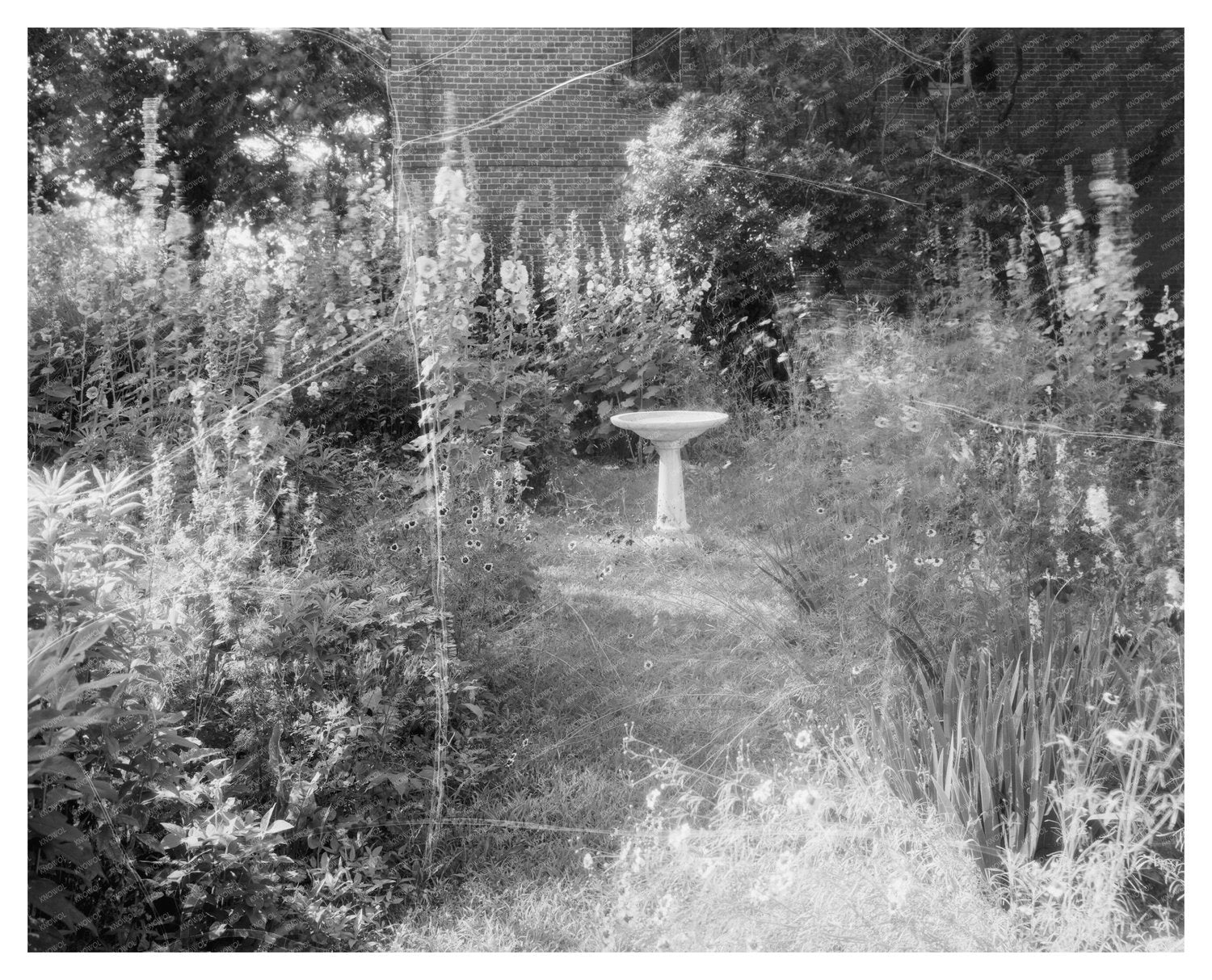 Colonial Architecture in Caret, Virginia (1730)