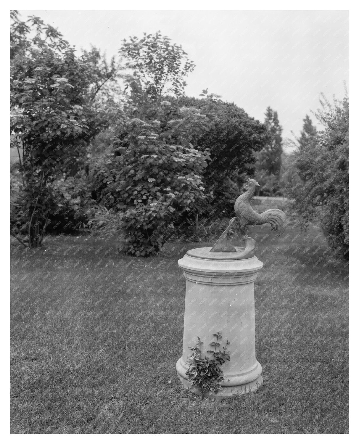 Mt. Vernon Gardens, Fairfax VA, 1953 Vintage Photograph