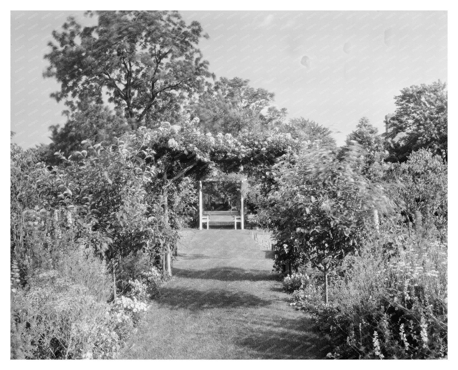 Mount Vernon Gardens, Fairfax VA, 1953 Photo Archive