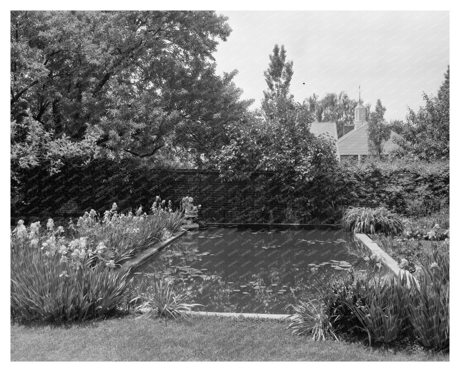 Lily Ponds at Mt. Vernon, Fairfax VA, 20th Century