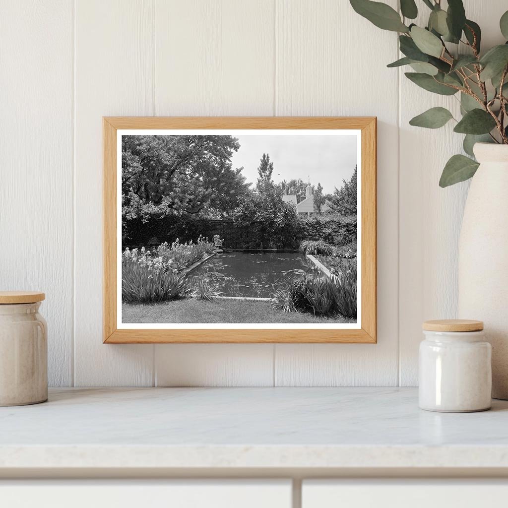 Lily Ponds at Mt. Vernon, Fairfax VA, 20th Century