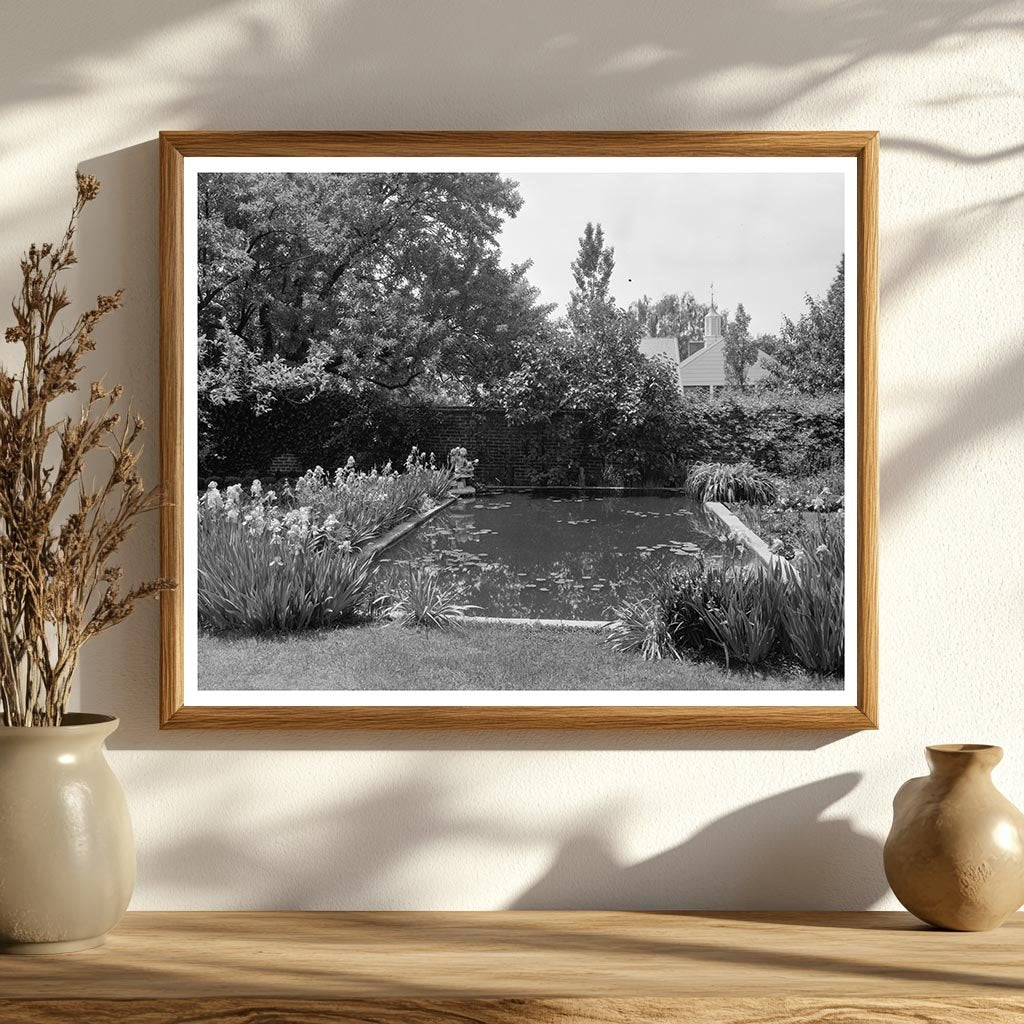 Lily Ponds at Mt. Vernon, Fairfax VA, 20th Century