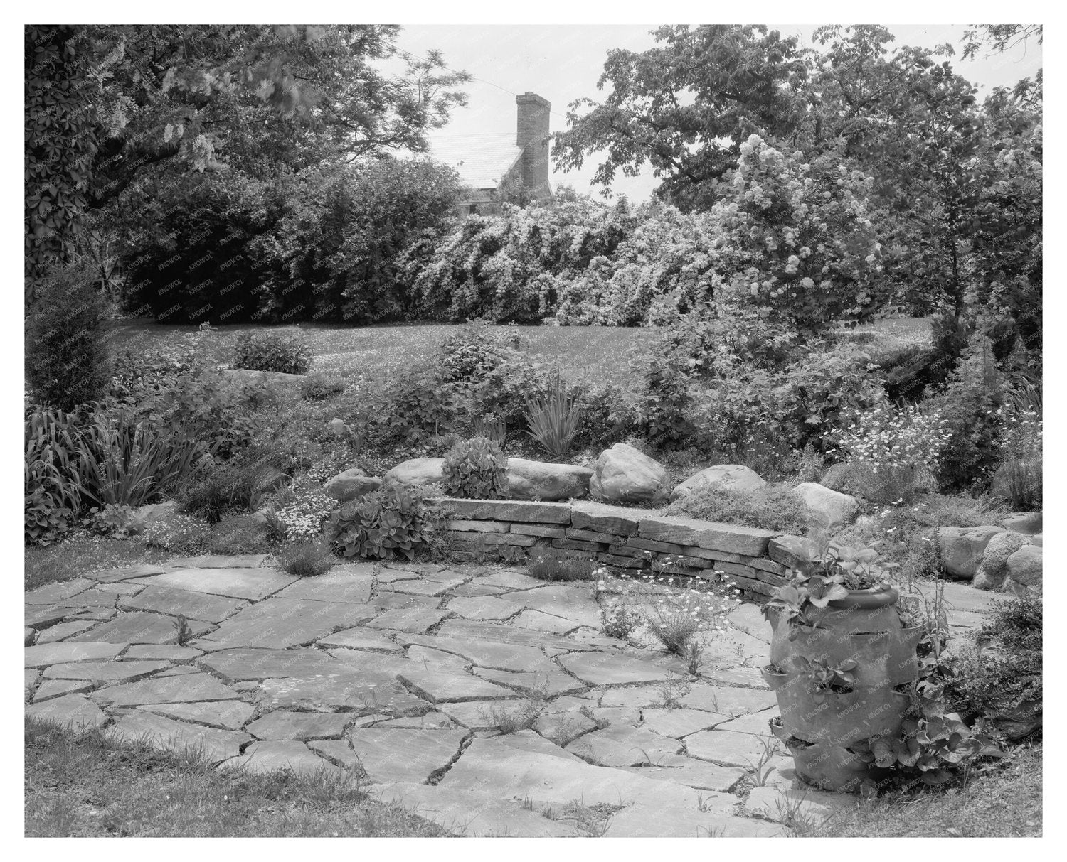 Mt. Vernon Gardens, Fairfax County, VA - 1953 Photo