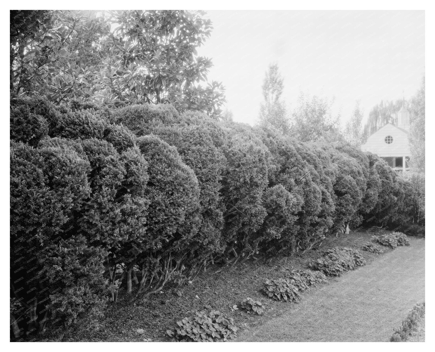 Vintage Photo of Mt. Vernon, Virginia, 20th Century