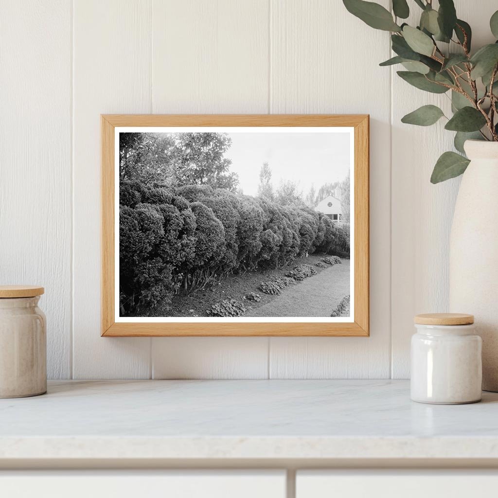 Vintage Photo of Mt. Vernon, Virginia, 20th Century