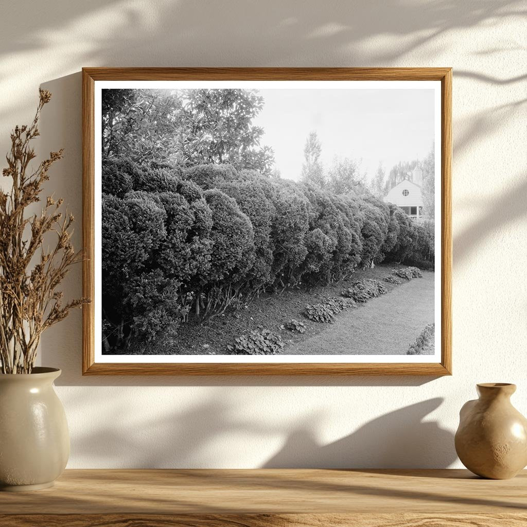 Vintage Photo of Mt. Vernon, Virginia, 20th Century