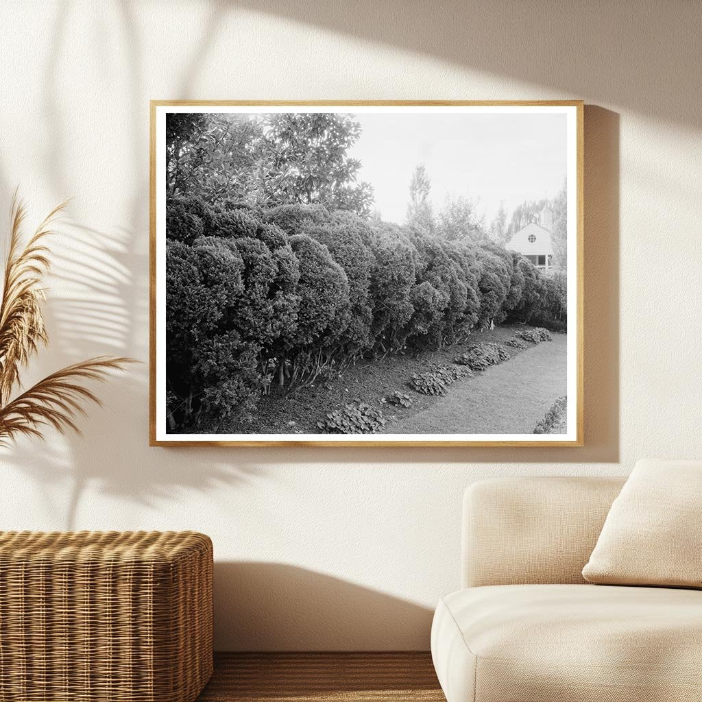 Vintage Photo of Mt. Vernon, Virginia, 20th Century