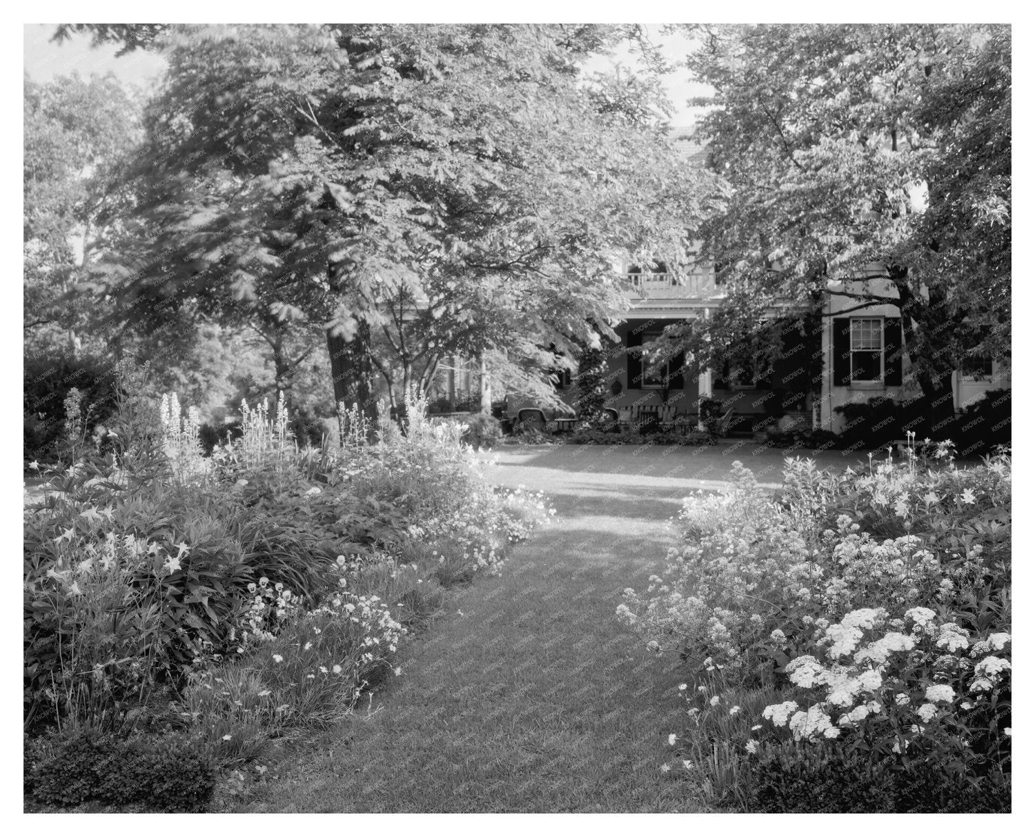 Mt. Vernon Gardens, Fairfax County, VA, Early 1900s Photo