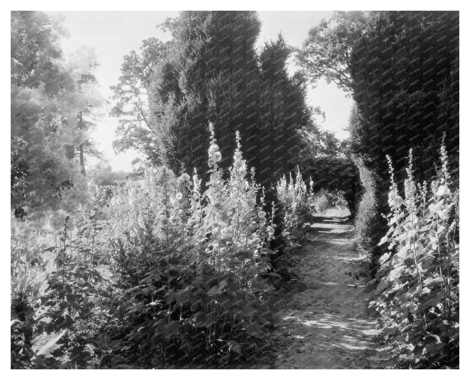 Vintage Garden Scene in Fork Union, VA, 1812