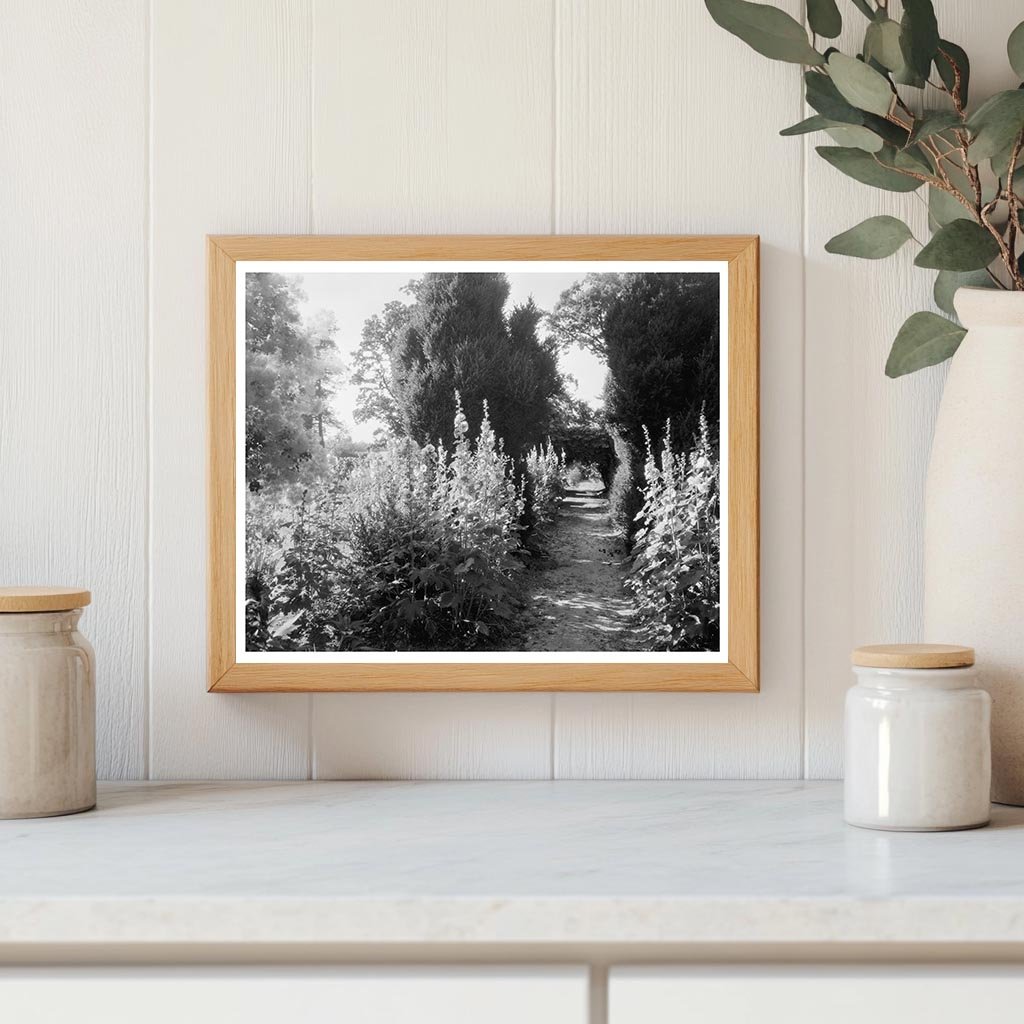 Vintage Garden Scene in Fork Union, VA, 1812