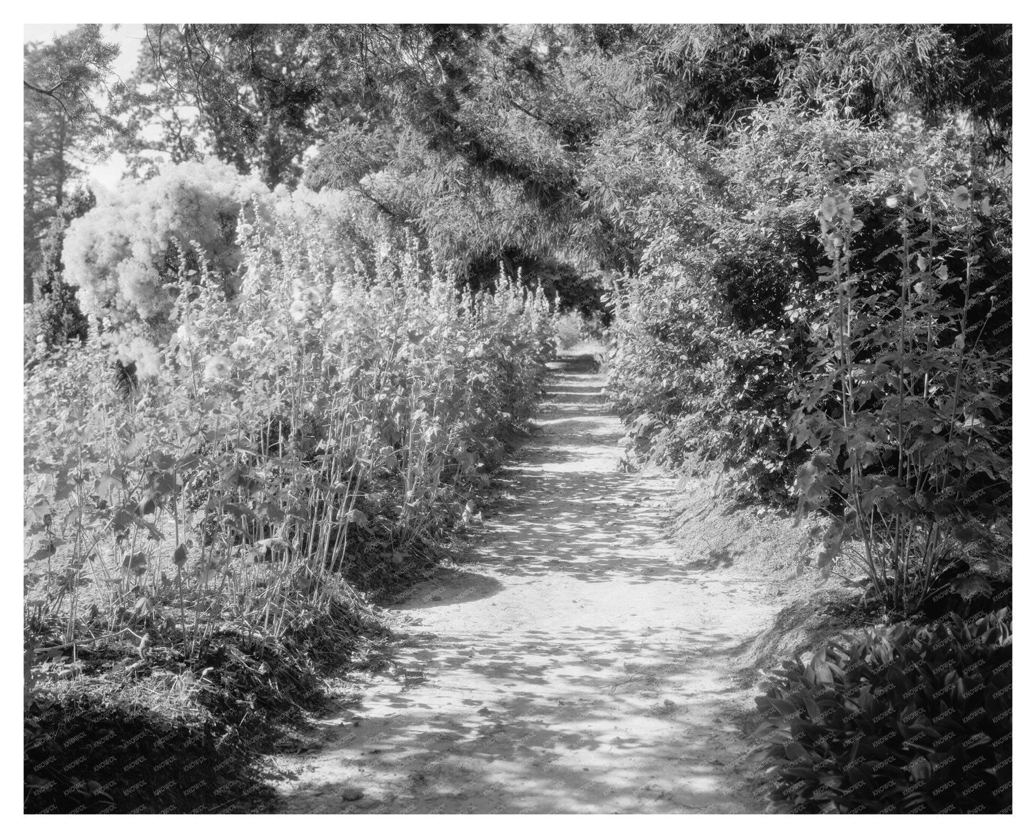 Fork Union, VA Architecture Photo from 1812