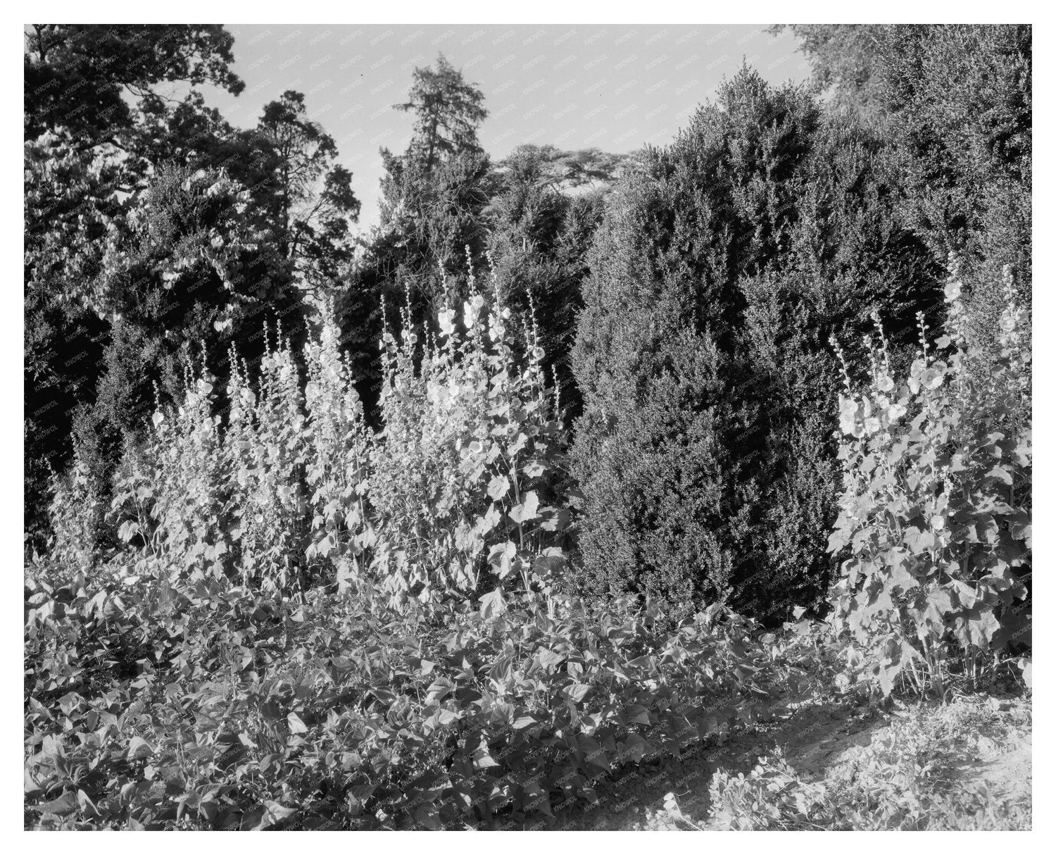 Historic Building in Fork Union, Virginia 1812 Photo