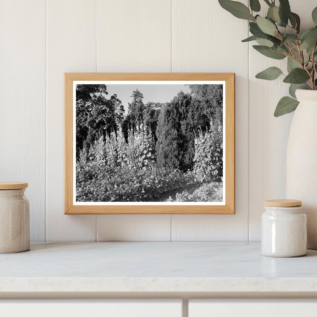 Historic Building in Fork Union, Virginia 1812 Photo